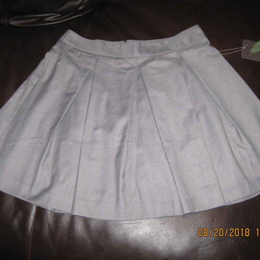 Gray Pleated Skirt NWT Forever 21